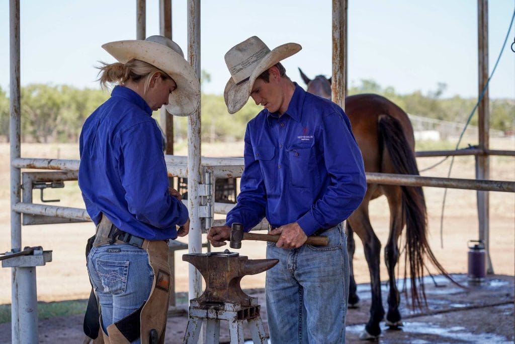 Careers Your Career With Hp